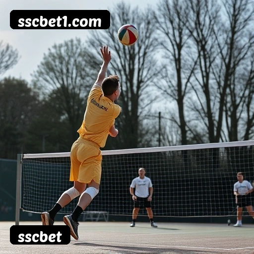 Estatísticas de bônus da sscbet em São Paulo, Rio de Janeiro e Brasília